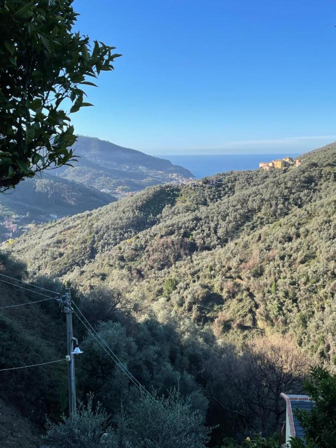 Le Case Di Petra Vignana Exterior foto