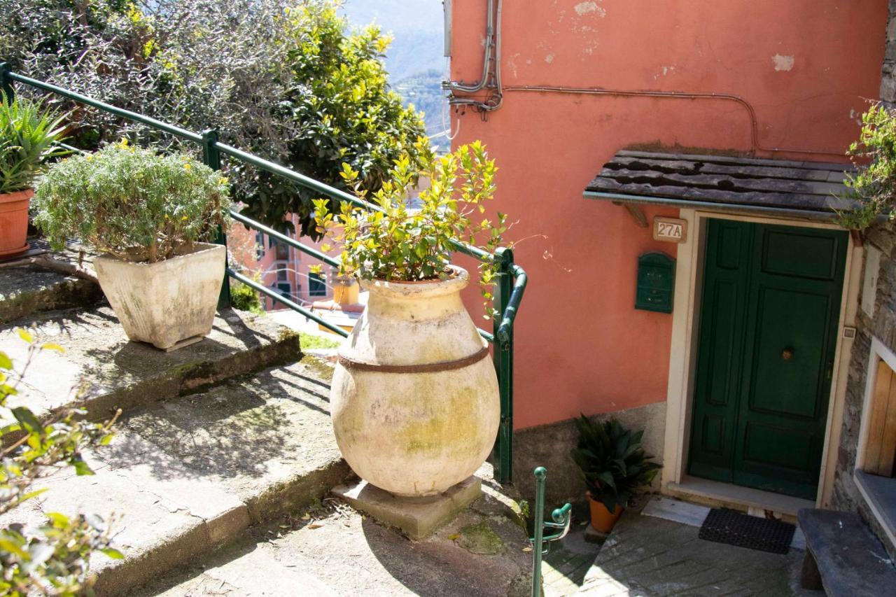 Le Case Di Petra Vignana Exterior foto